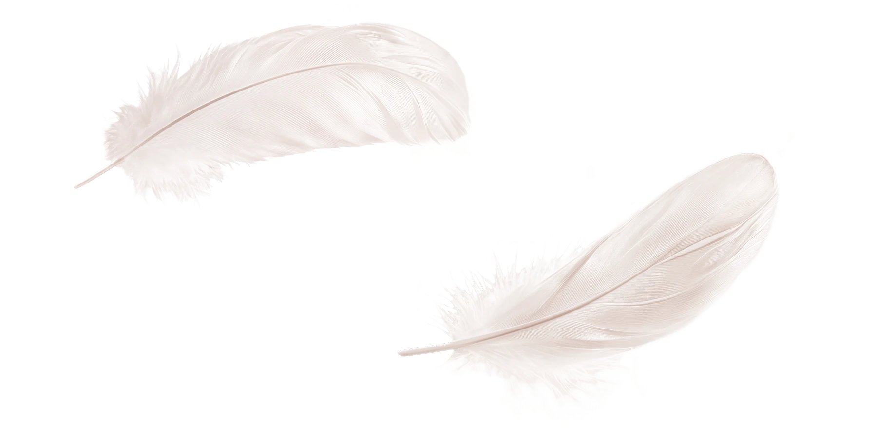 opendots 2 overview comfort feather pc